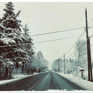 Buy 2 Get 1  F R E E !!!